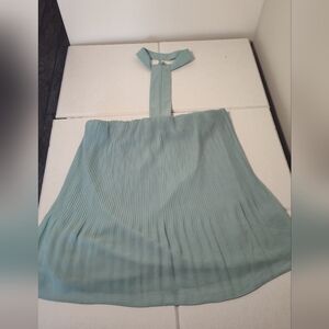 Naked Zebra Soft Teal Pleated Skirt #546